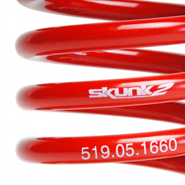 Skunk2 02-04 Acura RSX Lowering Springs (2.25in - 2.00in.) (Set of 4)
