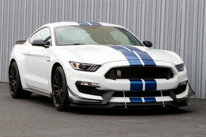 APR Front Bumper Canards Ford Mustang S550 / Shelby GT350 (2016-2020) [Carbon Fiber] AB-203518