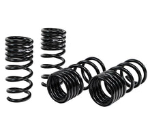 Load image into Gallery viewer, Set of black coil springs on a white background Alternate Image