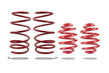 Load image into Gallery viewer, Pedders Suspension Springs for Pontiac GTO Base 5.7L / 6.0L V8 (2004–2006) Lowering / Stock Height / Rear Heavy Duty / X-Drag Alternate Image