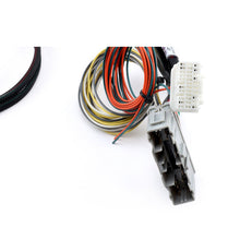 Load image into Gallery viewer, Hybrid Racing Conversion Harness for Honda CRX K Swap (1988-1991) Plug and Play HYB-CWH-01-07 Alternate Image