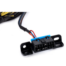 Load image into Gallery viewer, Hybrid Racing Universal Conversion Harness for K Swap Engine HYB-CWH-01-99 Alternate Image