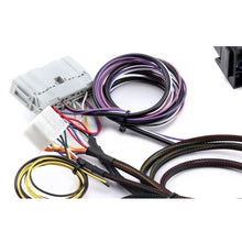 Load image into Gallery viewer, Hybrid Racing Universal Conversion Harness for K Swap Engine HYB-CWH-01-99 Alternate Image