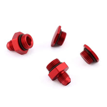 Load image into Gallery viewer, Hybrid Racing Fuel Rail for Acura Integra K Swap (1990-2001) Dust Black or Dust Red HYB-FRL-01-0 Alternate Image