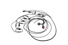 Load image into Gallery viewer, Advanced Fuel Dynamics ProFlex Commander for BMW E60 M5 / E63 E64 M6 S85 (06-10) E85 Flex Fuel System Alternate Image