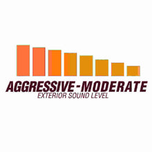 Load image into Gallery viewer, Flowmaster Exhaust Dodge Ram (19-24) Direct Fit Dual Mode Muffler w/ Active Valve - Flow FX 717915 Alternate Image