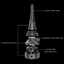 Load image into Gallery viewer, AlphaRex LED Light Bulbs Panoramic Black &amp; Gold Ammo - 9006 /  H7 / H11 Alternate Image