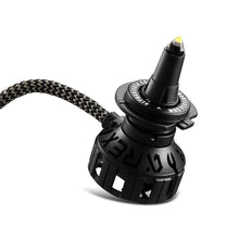 Load image into Gallery viewer, AlphaRex LED Light Bulbs Panoramic Black &amp; Gold Ammo - 9006 /  H7 / H11 Alternate Image