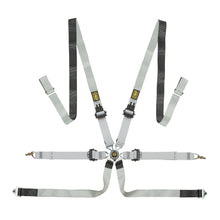 Load image into Gallery viewer, OMP One-D 2 Pull Down Safety Racing Harness [FIA 8853-2016] Black/White Alternate Image
