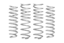 Load image into Gallery viewer, Eibach Pro Truck Lift Kit Ram 1500 2WD (2019-2024) Stage 1 / 2 / 2R / Front or Rear Springs - Front &amp; Rear Springs Set Alternate Image