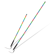 Load image into Gallery viewer, Boss Audio Systems ATV LED Whip Antenna / Chasing RGB Lights / App Control / Weatherproof (IP67) / 24", 48", 72" - 24" Alternate Image