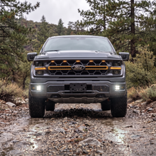 Load image into Gallery viewer, M&amp;R Automotive LED Fog Light Kit for Ford F-150 Tremor 14th Gen (24-26) Standard Bumper Alternate Image