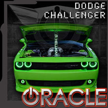Load image into Gallery viewer, Oracle Fog Light Halo Kit Dodge Challenger (15-21) [LED Projector] White / Blue / Red / Green / Amber / UV/Purple / ColorSHIFT - White Alternate Image