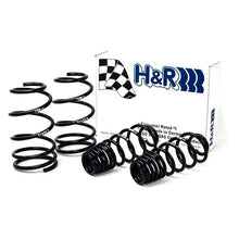 Load image into Gallery viewer, H&amp;R Lowering Springs Ford GT500 V8 (2007-2014) Sport / Super Sport / Race Springs - Sport Spring Alternate Image