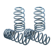 Load image into Gallery viewer, 234.50 H&amp;R Lowering Springs VW Passat 4motion Sedan/Wagon (06-11) OE Sport or Sport Spring - Redline360 Alternate Image