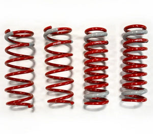 259.95 Tanabe NF210 Lowering Springs Lexus GS350 RWD (13-16) AWD (2013) TNF170 - Redline360