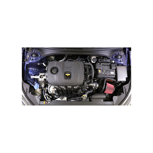 AEM Cold Air Intake Hyundai Elantra 2.0L L4 (2020) 21-858C