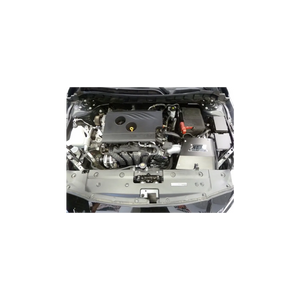 AEM Cold Air Intake Nissan Altima 2.5L (2019-2020-2021) 21-878DS