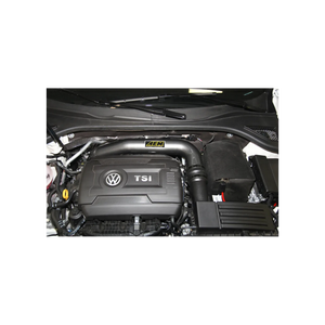AEM Cold Air Intake VW Jetta 1.8L L4 Gas (14-17) Jetta GLi 2.0L L4 (14-15) 22-689C