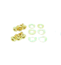 Load image into Gallery viewer, Dress Up Bolts Dodge Charger (2015-2021) Titanium Hardware Hood Kit - Gold Alternate Image