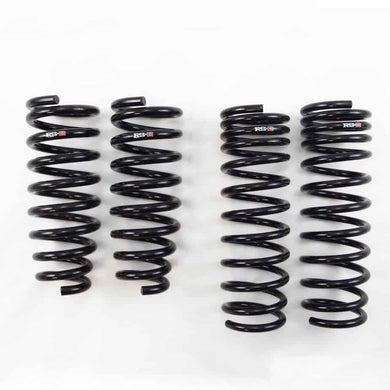 309.00 RS-R Lowering Springs Acura TSX Sport Wagon (2011-2014) Down Sus - H650W - Redline360