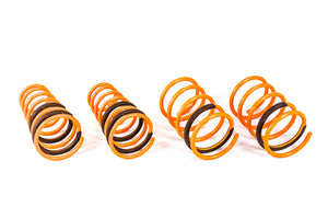 335.61 ARK GT-F Lowering Springs Hyundai Tiburon 2.0L / 2.7L (2003-2008) - Mid Drop - Redline360