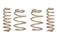 Load image into Gallery viewer, ARK GT-S Lowering Springs Toyota C-HR (2017-2018) - Aggressive Drop - Default Title Alternate Image