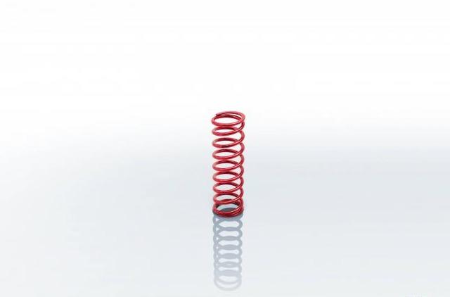 Eibach Coilover Spring (2.25