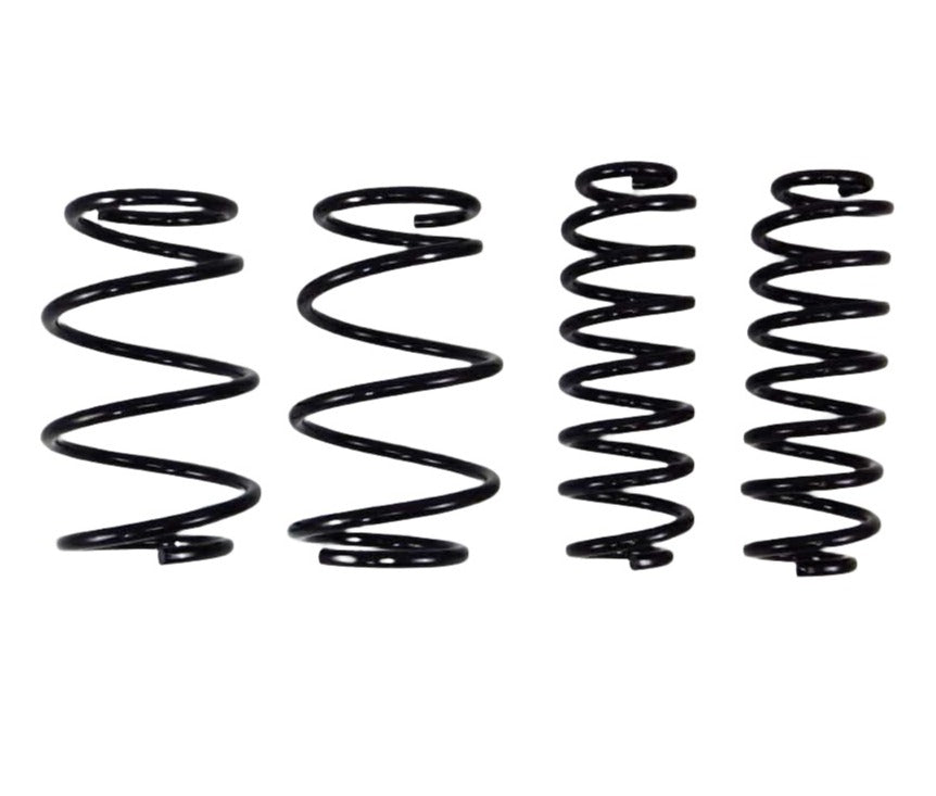 RS-R Lowering Springs Toyota RAV4 AWD (2019-2023) T078D – Redline360