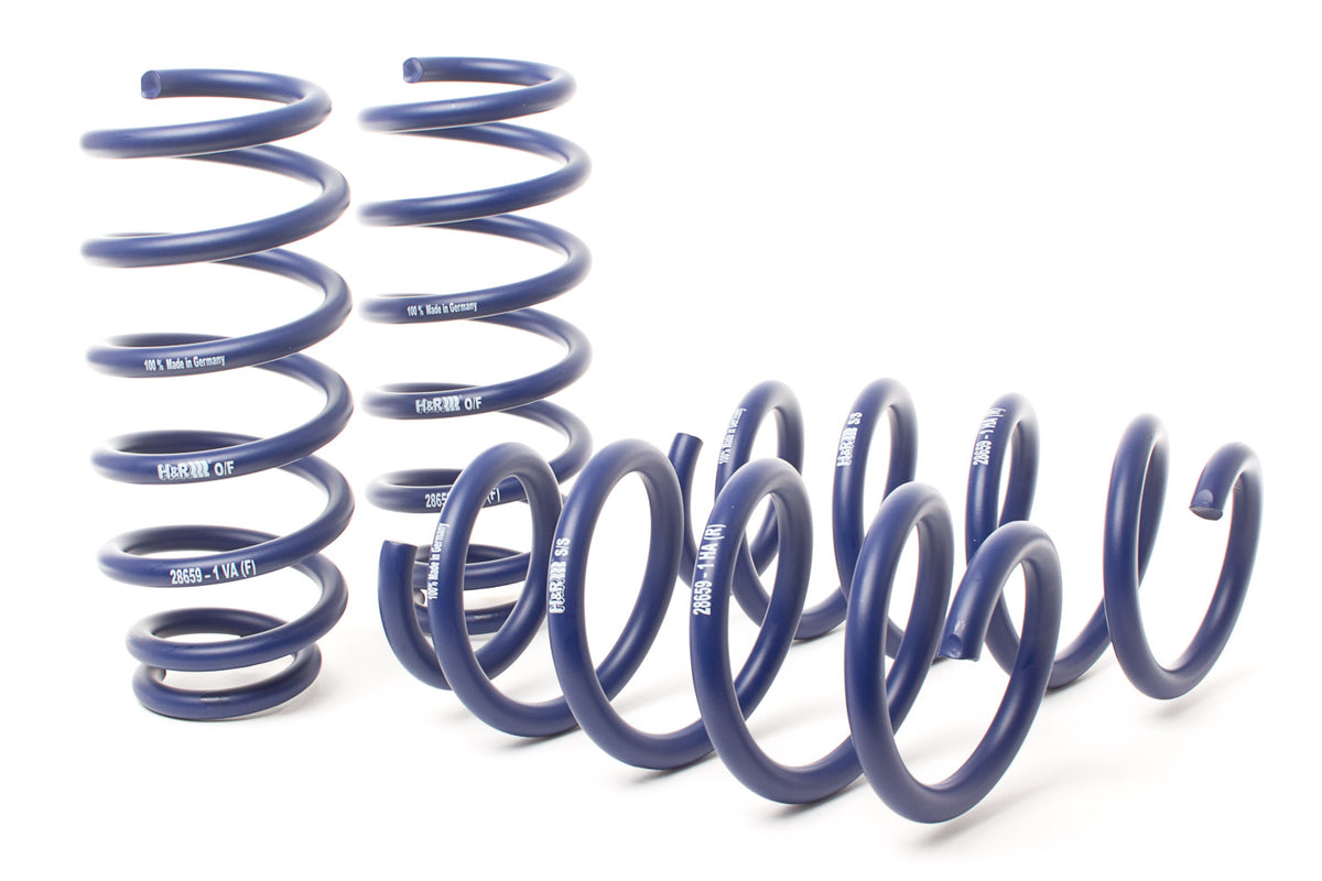 AST Lowering Springs | 2017-2023 Tesla Model 3 SR RWD/SR Plus RWD/Mid Range RWD (ASTLS-21-168)