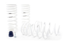 Load image into Gallery viewer, H&amp;R Lowering Springs Ford Mustang Mach 1 V8 SN95 (03-04) Sport or Race Springs - Super Race Springs Alternate Image