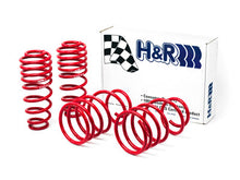 Load image into Gallery viewer, H&amp;R Lowering Springs Ford Mustang V6/V8 (11-14) S197 Sport/Super Sport/Race Springs - Race Spring Alternate Image