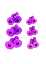 Load image into Gallery viewer, Dress Up Bolts Chevy Camaro (2016-2022) Titanium Hardware Door Kit - Purple Alternate Image