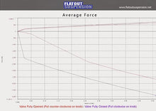 Load image into Gallery viewer, Flatout Suspension SR Coilovers Mini Cooper R60/F60 Countryman (10-21) w/ Front Camber Plates - R60 Alternate Image