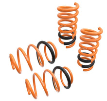Load image into Gallery viewer, Megan Racing Lowering Springs Ford Mustang S550 (15-23) S650 (24-25) Magnaride or Non - Non Magneride Alternate Image