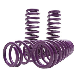 D2 Racing Lowering Springs Chrysler 300C (05-10) D-SP-DO-01 – Redline360