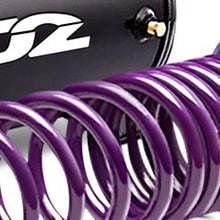 Load image into Gallery viewer, 170.00 D2 Racing Lowering Springs Acura TL / TSX (09-14) D-SP-HN-08 - Redline360 Alternate Image