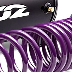D2 PRO Lowering Springs 2.0"F / 2.0"R For 2009+ 370Z / 2007-2014