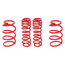 Load image into Gallery viewer, 149.95 BMR Drag Lowering Springs Ford Mustang GT500 (2007-2014) Front Only or Set - Redline360 Alternate Image