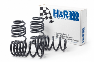 H&R Lowering Springs BMW E90 328i Sedan (07-11) Sport or Race Spring ...